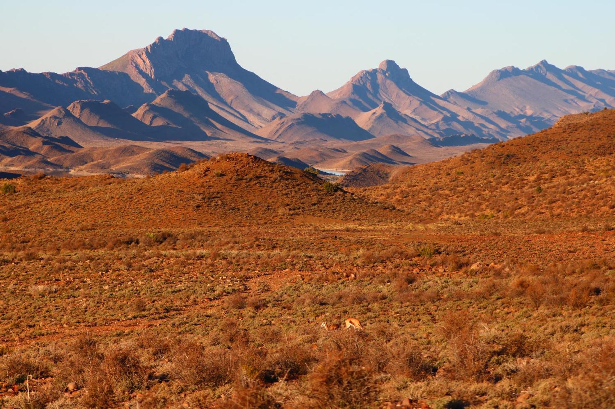 Bosch Luys Kloof Nature Reserve Ladismith Zewnętrze zdjęcie