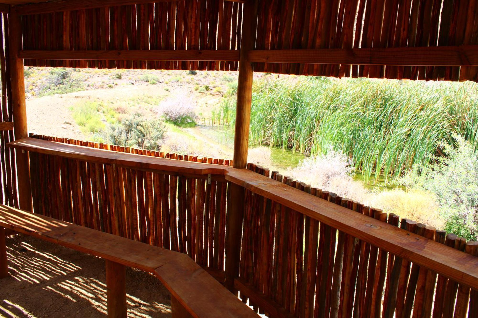Bosch Luys Kloof Nature Reserve Ladismith Zewnętrze zdjęcie